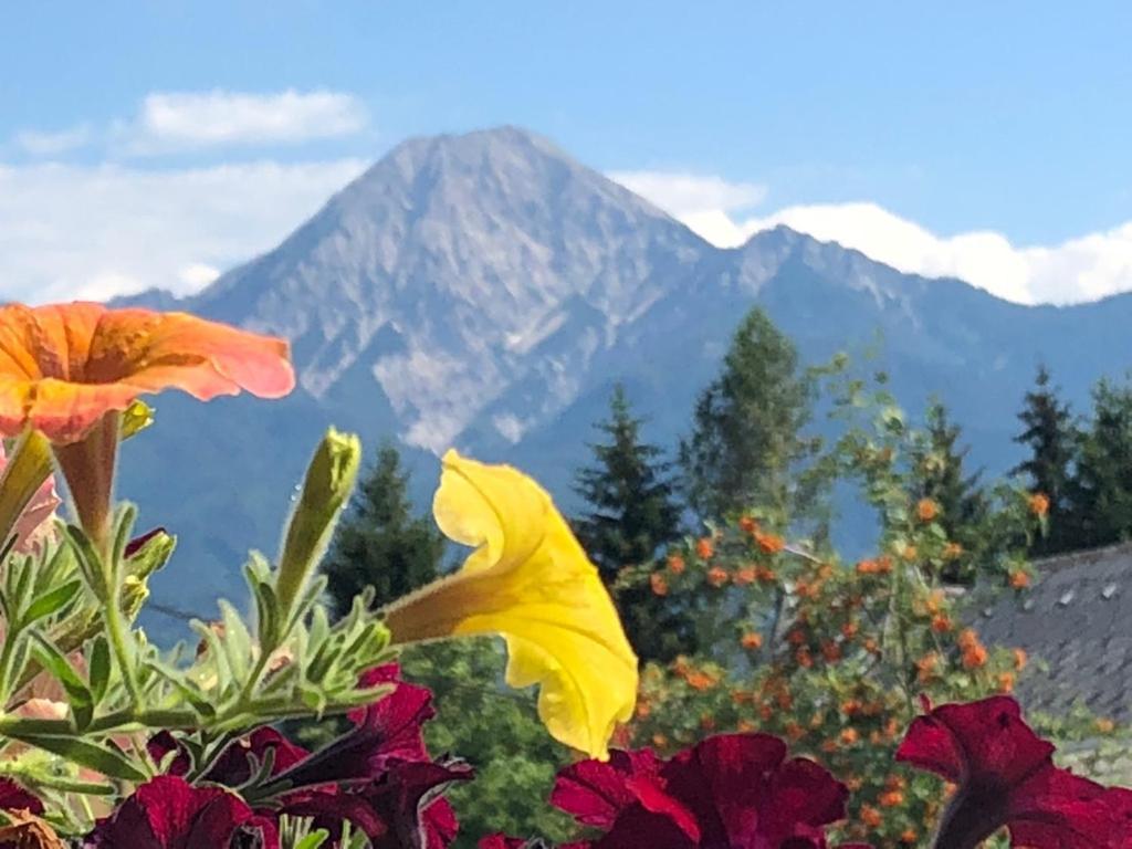 Gaestehaus Trink B&B Drobollach am Faakersee Exteriér fotografie